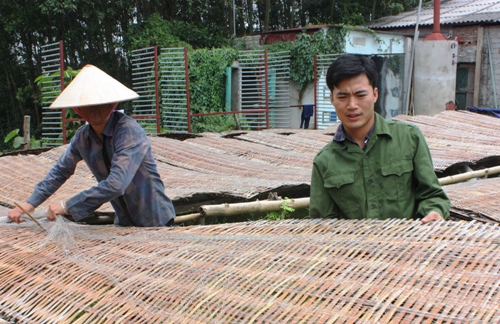 Nguyễn Văn Ba đang kiểm tra độ khô của những sợi miến